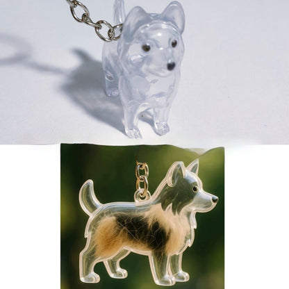 Llavero Transparente de Perro